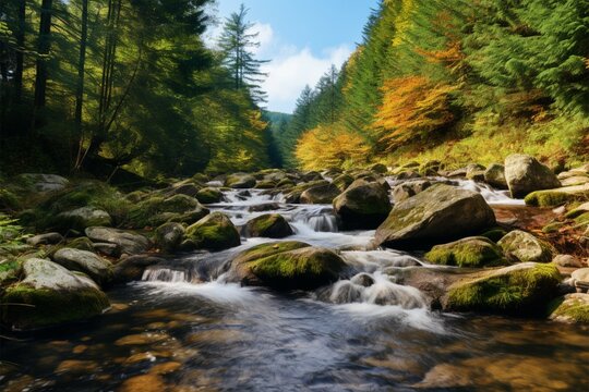 Autumns charm Close up nature landscape with mountain creek and forest