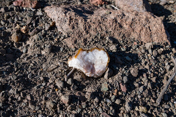 Agate scattered in the field.