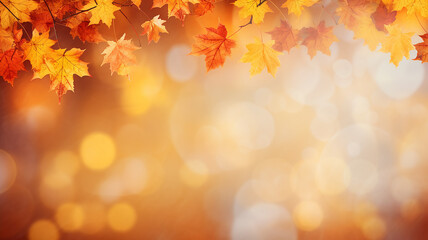 maple leaves on abstract blurred background with bokeh copy space, light bright autumn background for text