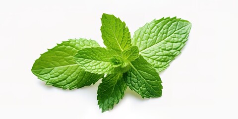 Fresh green mint leaves in photo on white background. generative AI