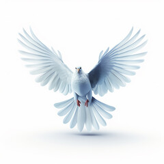 Obraz premium Flying white dove isolated on a white background