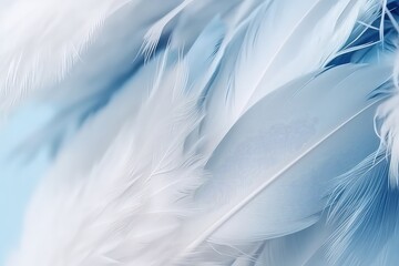 Fototapeta na wymiar Airy soft fluffy wing bird with white feathers close-up wallpaper background,wallpaper background about white feathers