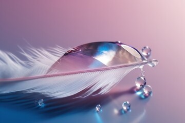 Beautiful clean transparent bright drop of water on feather wallpaper background