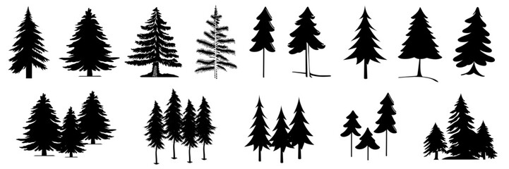 Obraz premium Assorted pine tree vector set icon. Conifer tree silhouettes on the white background 
