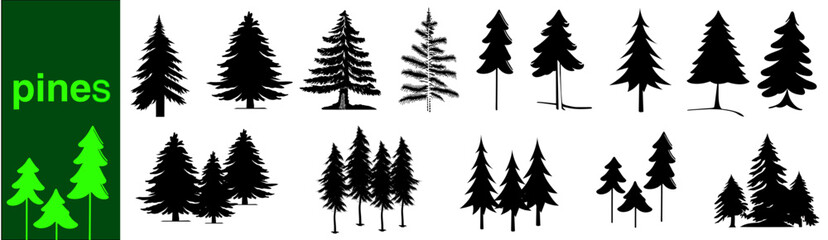 Vector set silhouette of different pine trees. 