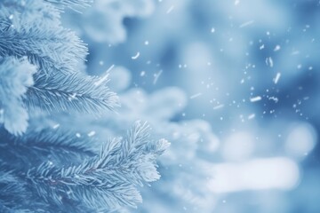 Blue winter christmas nature background frame wide format with blurred wallpaper background