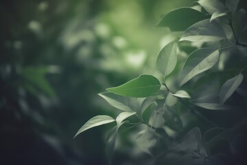 Nature Concept. layout with texture a green leaf close-up wallpaper background,nature wallpaper background 