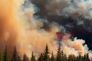 forest fire in the mountains with a huge amount of smoke