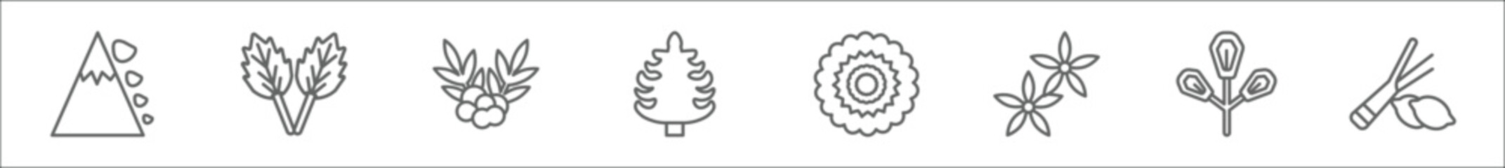outline set of nature line icons. linear vector icons such as snowslide, peppermint, rowan, cedar, dahlia, neroli, spear shaped, lemongrass - obrazy, fototapety, plakaty