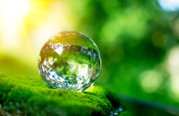 Creative ideas of earth day or save energy and environment. Crystal ball sign for sustainable plant.