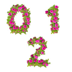 Illustration of pink wild rose flowers alphabet  - digits 0-2