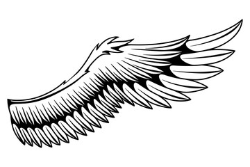 Wings sketch. Stylized birds wings. Hand drawn contoured stiker wing in open position. Vector design elements in coloring style