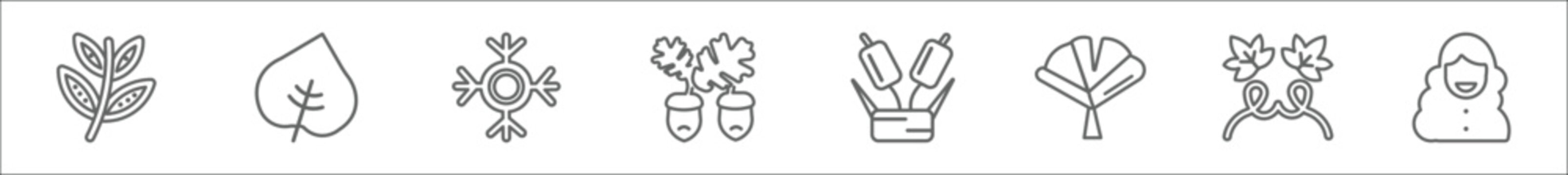 outline set of nature line icons. linear vector icons such as black willow, cordate, big snowflake, nut leaf, reed bed, apricot leaf leaf, grape hair style