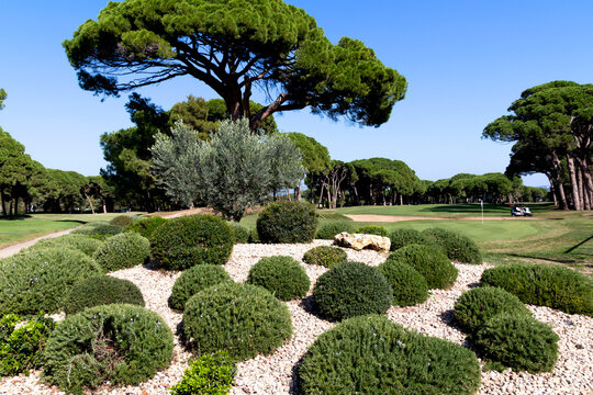 Klub golfowy Mandelieu-la-Napoule na Lazurowym Wybrzeżu