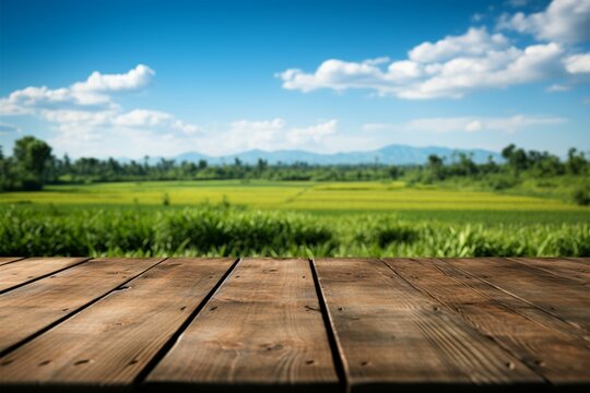 Rustic wooden floor adjacent to lush green rice fields and serene sky