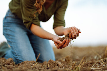 Close-up of a woman farmer's hands holding fresh soil. An experienced farmer checks the quality of the soil. Agriculture, gardening concept.