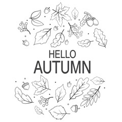 Hand drawn autumn leaves doodles shaped. Falling leaves.Line art autumn leaves maple, oak,acorn.Sketch, design elements. Tree leaves.Oak branch outline.Vector illustration.Round floral pattern.
