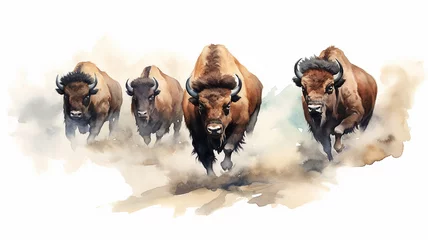 Afwasbaar fotobehang watercolor drawing of a group of bulls running on a white background. © kichigin19