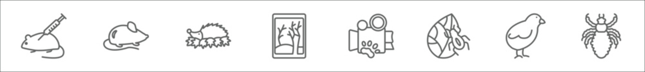 outline set of line icons. linear vector icons such as