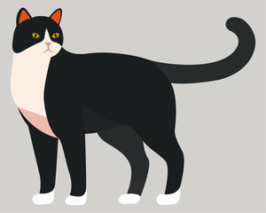 Obraz premium Illustration of a black and white cat