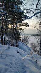 Winter sunset on the river surrounded by trees