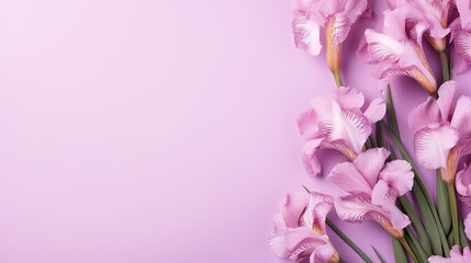  a bunch of pink flowers on a pink background with space for text.  generative ai