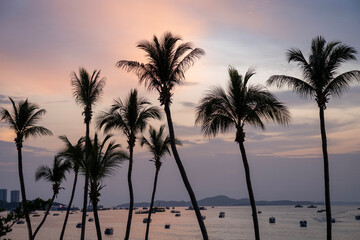 sunset on the beach