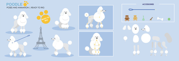 White Poodle Dog character for animation. Created with various poses, expressions and angles, ready to rig for animation.	
