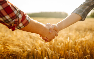 Against the backdrop of a golden wheat field, two farmers shake hands. Successful businessmen making a handshake after a profitable deal. - obrazy, fototapety, plakaty