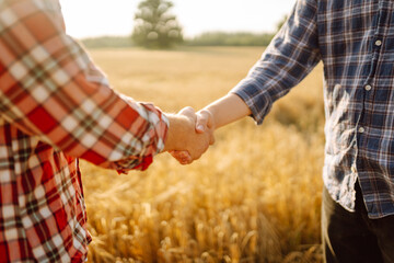 Against the backdrop of a golden wheat field, two farmers shake hands. Successful businessmen making a handshake after a profitable deal.