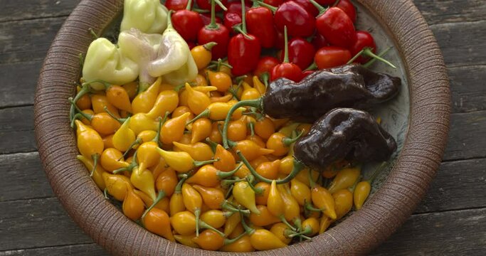 Different types of chilies. Brazilian Biquinho Yellow, Brazilian Red Olive, Peruvian Machu Picchu, and Aji White Fantasy on clay plate. Table spin.