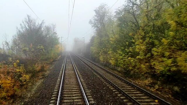 Railway track in the autumn forest