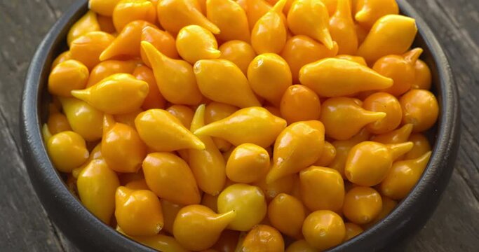 Fresh homegrown Biquinho Yellow. Brazilian mild peppers in bowl standing on rustic wooden table. Table spin