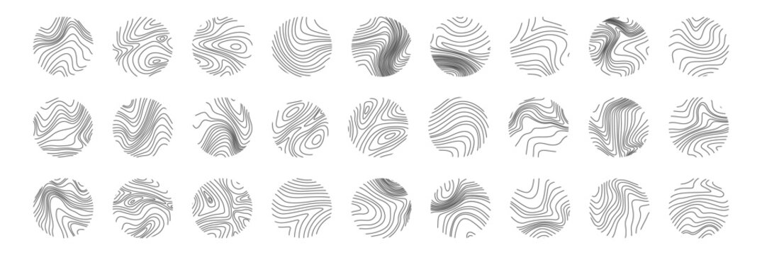 Tree Ring Texture. Wooden Rings. Circle Topographic Map. Black Line Print In Circle On White Background.