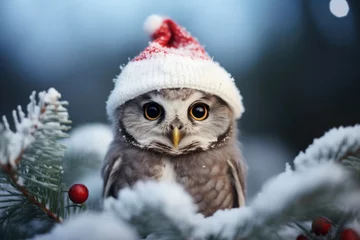 Zelfklevend Fotobehang Christmas owl in the wild © Veniamin Kraskov