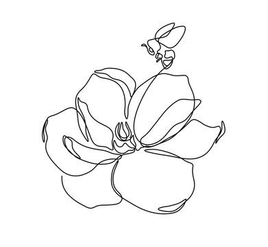 Vector isolated beautiful flower with bee bumblebee one single contemporary line art colorless black and white contour line easy drawing