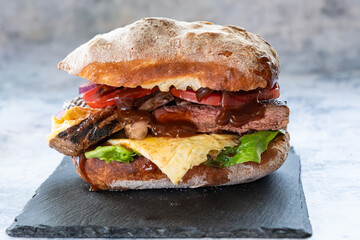 Bread roll with beef steak, fresh tomato, onion, green lettuce, browns souce,macro shoots.
