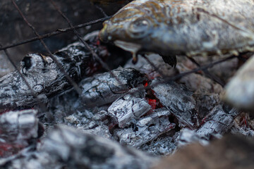 Baked fish on the grill with fire