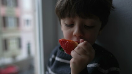 Little boy eating strawberry by window. Child taking a bite of healthy nutritious fruit