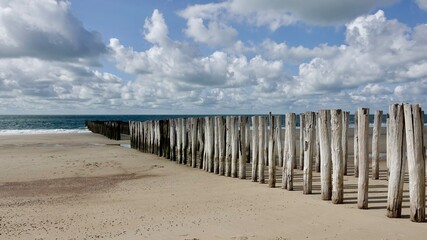 Wellenbrecher, Holzpfähle am Nordseestrand in den Niederlande