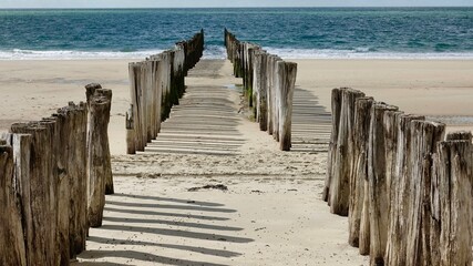 Fototapeta premium Wellenbrecher, Holzpfähle am Nordseestrand in den Niederlande