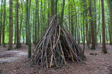 woodland den created with sticks and branches among the trees