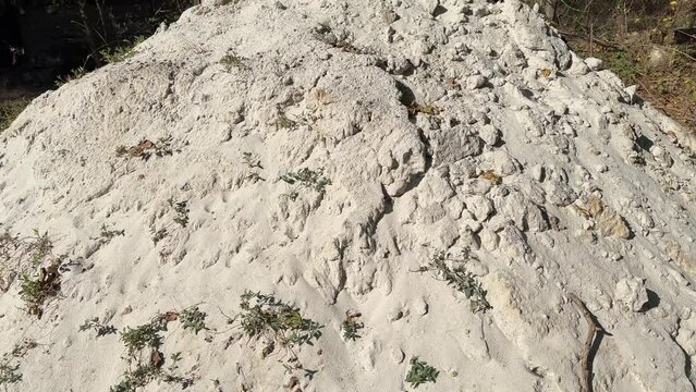 an abandoned pile of white sand overgrown with grass