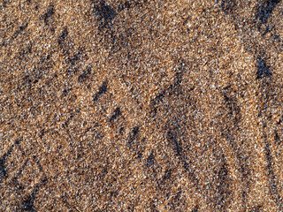 Background texture of coarse-grained seashell sand on the beach