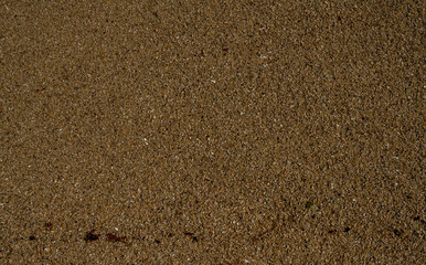 texture of sand