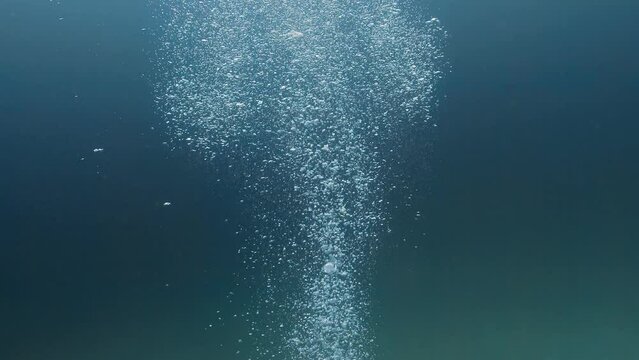 Steady shot of underwater bubbles moving up towards the surface.