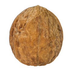 Walnut. Depth of field. Isolated. On an empty background.