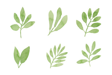 Assortment of watercolor leaves illustration set - green leaf branches collection for wedding, greetings, stationary,  wallpapers, fashion, background. olive, green leaves, Eucalyptus etc