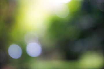 Blurred bokeh image of green mixed with yellow and white.