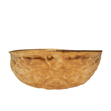 Half a walnut. Half a cracked shell. Depth of field. Isolated. On an empty background.